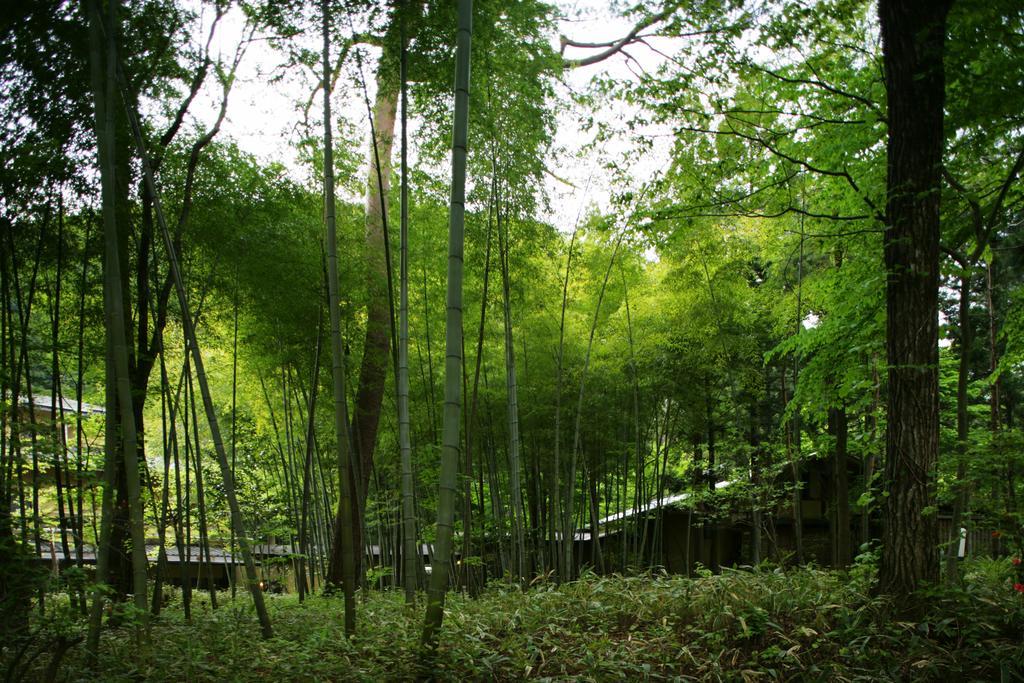 Sekizenkan Kashotei Sanso Nakanojo Exteriér fotografie