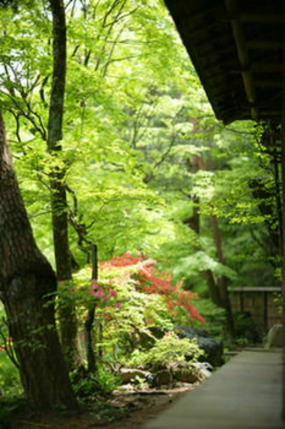 Sekizenkan Kashotei Sanso Nakanojo Exteriér fotografie
